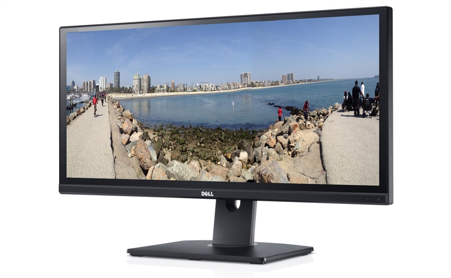 29" TFT Dell U2913WM "A-"
