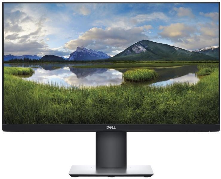 24" TFT Dell P2421 "A-"
